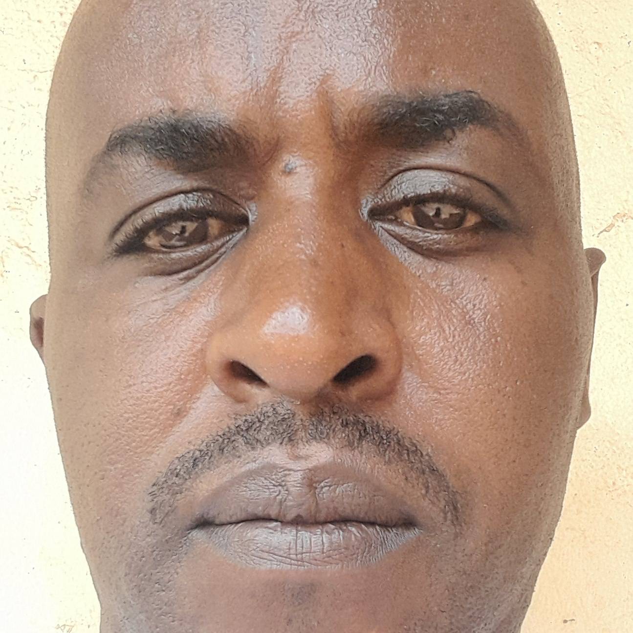 Walter Kirubi